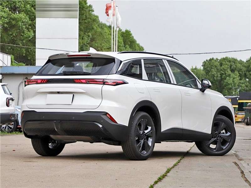 Фото BAIC X55 - BAIC X55 (2023) вид сзади