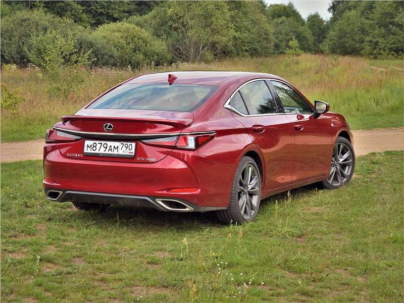 Фото Lexus ES - Lexus ES (2019) вид сзади